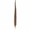 Buyhoo.shop2f88ce7971 1