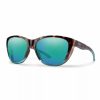 Buyhoo.shop41098ccebb 1