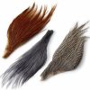 Buyhoo.shop5c20c9865a 1