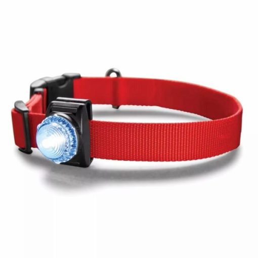 Buyhoo.shopd5a91f2408 2