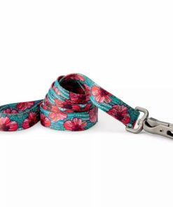 Buyhoo.shopece74f8a8e 1
